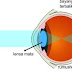 Cara kerja indra mata / penglihatan manusia