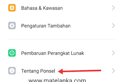 3 Langkah Mengaktifkan Opsi Pengembang di Realme 5 Pro